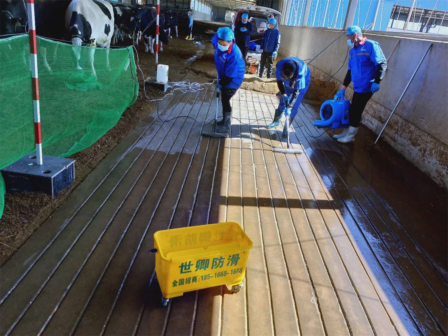 伊利集團(tuán)奶牛場地面防滑