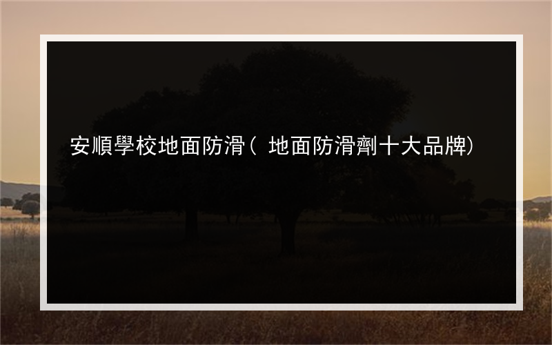 安順學校地面防滑(地面防滑劑十大品牌)