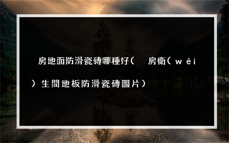 廚房地面防滑瓷磚哪種好(廚房衛(wèi)生間地板防滑瓷磚圖片)