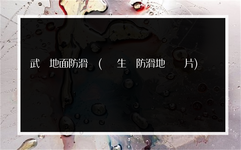 武術地面防滑墊(衛生間防滑地磚圖片)