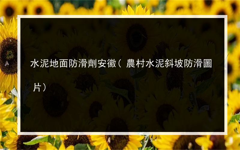 水泥地面防滑劑安徽(農村水泥斜坡防滑圖片)