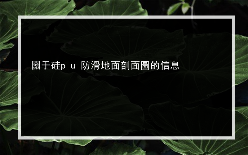 關于硅pu防滑地面剖面圖的信息
