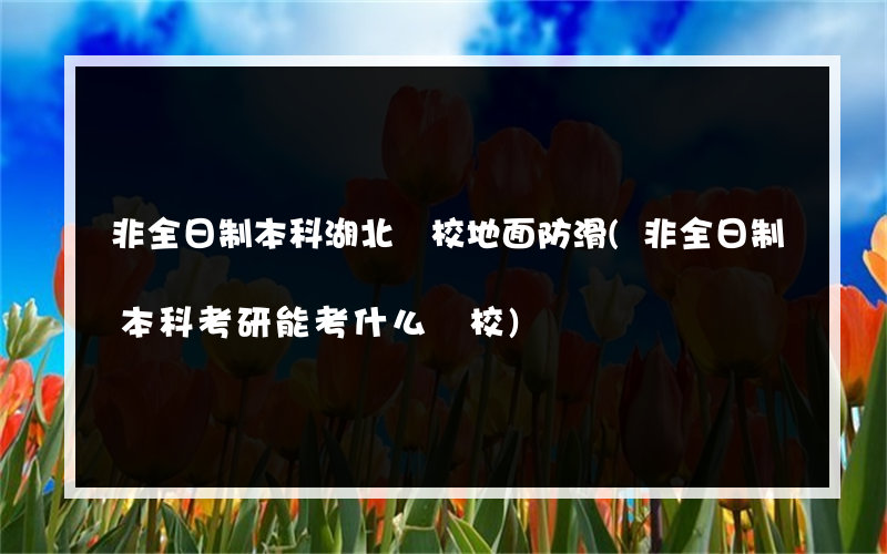 非全日制本科湖北學校地面防滑(非全日制本科考研能考什么學校)